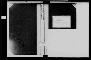 Ladenburg, katholische Gemeinde: Standesbuch 1868-1870