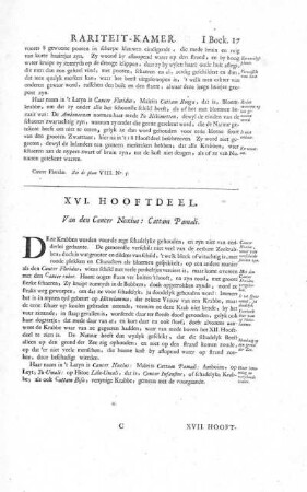 XVI. Hooftdeel. Van den Cancer Noxius: Cattam Pamali