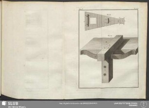 Pl. XVI