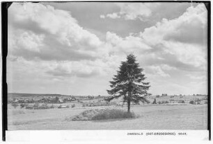 Zinnwald