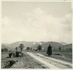 Frühling im Dreisamtal