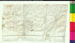 Freibrief des Abtes Johann und des Konvents von Marienfeld für eine Hörige.