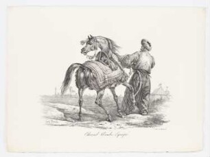 Cheval Arabe Equipé