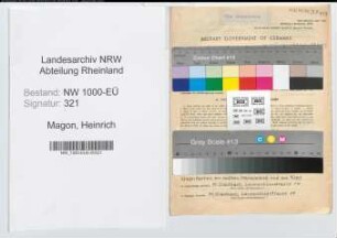 Entnazifizierung Heinrich Magon, geb. 11.02.1894 (Staedt.Beamter)