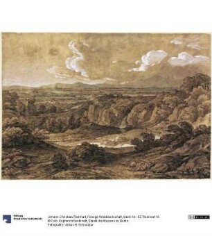 Felsige Waldlandschaft