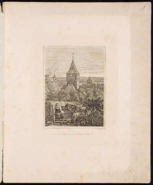Aussicht vom oberen Burgzwinger gegen das Thiergärtner & neue Thor. - Tiergärtner Tor, Nürnberg; Neutor, Nürnberg