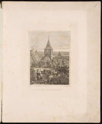 Aussicht vom oberen Burgzwinger gegen das Thiergärtner & neue Thor. - Tiergärtner Tor, Nürnberg; Neutor, Nürnberg