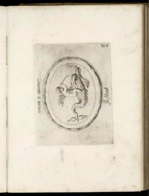 Amore E Delfino