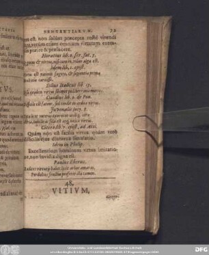 48. Vitium.