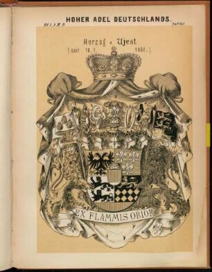 Taf. 100. Herzog v. Ujest