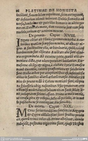 De moris. Caput XIX.
