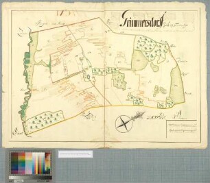 [Gremersdorf (Grimmersdorf) Amt/Distrikt Franzburg] Grimmersdorff in Ampt Fransborg