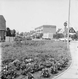 Möllner Landstraße mit Pkws und Lkws: vorn Blumenrabatten: links Verteilerkästen: hinten Einfamilienhäuser und Wohnblocks