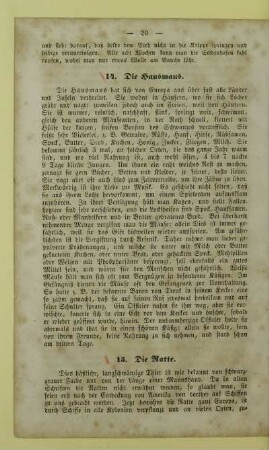 14. Die Hausmaus