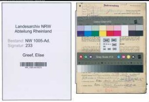 Entnazifizierung Elise Greef , geb. 05.12.1904 (Hauswartin)