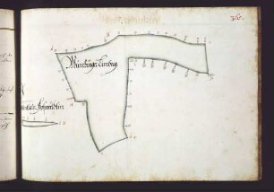 Feuerbacher Hut: Münchinger Limberg; Korntaler Hofwäldle