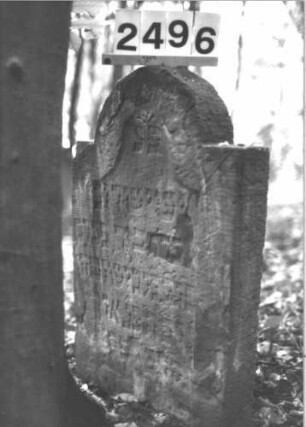 Grabstein 2496