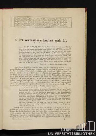 1. Der Walnussbaum (Juglans regia L.).