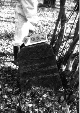 Grabstein 1052 (Index: 99753373) Material: Sandstein Maße HxBxT: 123x52x7 cm Beschreibung: Stele: Grabstein 1052