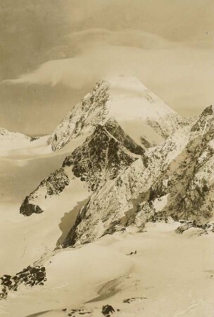 Südtirol. Ortlergruppe. Königsspitze (3857 m) von der Casati-Hütte