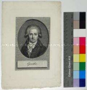 Porträt von Johann Wolfgang Goethe