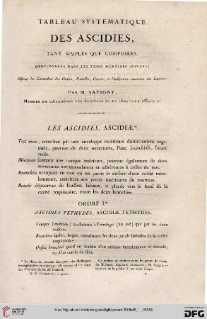 Tableau systématique des Ascidies, tant siples que composées