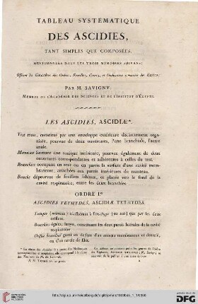 Tableau systématique des Ascidies, tant siples que composées