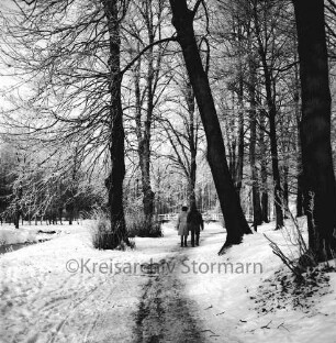 Kurpark: Fußweg im Winter
