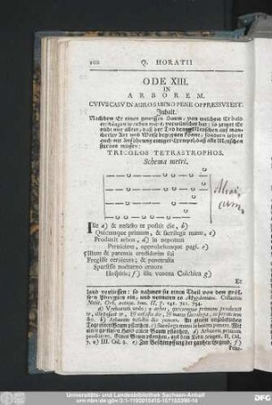 Ode XIII. In Arborem.