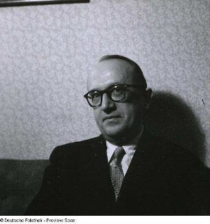 Portraitserie Walter Hallstein
