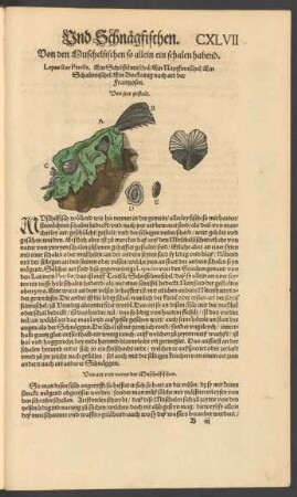 Von den Muschelfischen so allein ein schalen habend.
