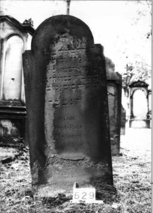 Grabstein 529 (Index: 99630030) Material: Sandstein Zustand: verwitt. m. wenig Textverl/unten abgeblätt Maße HxBxT: 144x63x7 cm Beschreibung: Stele mit eingezogenem Runbdogenabschluß: Grabstein 529