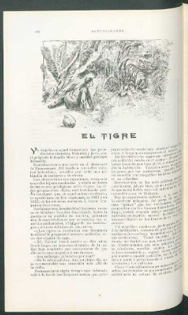 El tigre