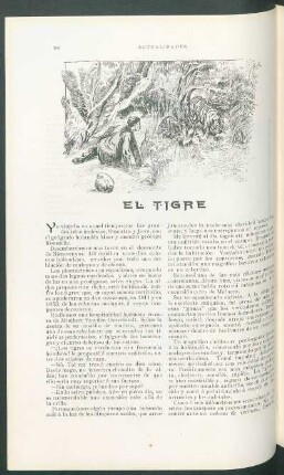 El tigre