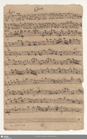 Canto. [nur letztes Recitativ und Aria]