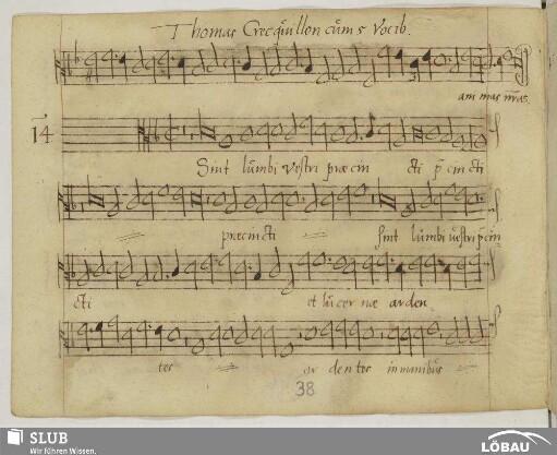 Crecquillon, Thomas: Sint lumbi vestri praecincti