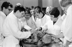 Freiburg: Medizinstudenten beim Sezieren, Anatomiesaal mit sezierenden Studenten