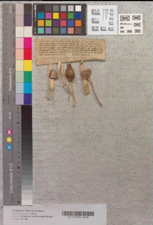 Die Brüder Hermann und Lampert von Ozen (Ohsen) resigniren dem Bischof von Minden den Zehnten zu Gronede (Grohnde, Amt Grohnde, Fstm. Calenberg) und eine Kurie bei Everforde (bei Ohsen, Amt Ohsen, Fstm. Calenberg).