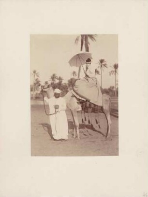 Kronprinzessin Viktoria von Schweden in Ägypten