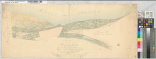 Brouillon-Karte von den königlichen Warden auf Reeser Eiland, Hübsch und Willigen-Pass nebst einliegenden Kultur-Gründen [zwischen den Domänen Hübsch und Steppenhof]. Vermessen im Monat September 1818 durch Wilhelm Vogelsang
