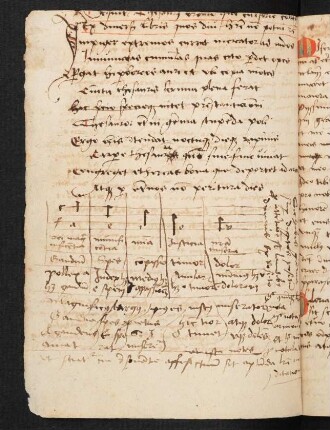 Considerationes XII ad intelligentiam compendiosissimam canticordi (Auszug)