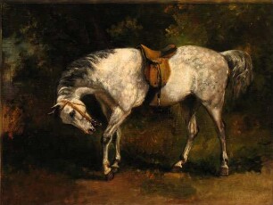 Reitpferd