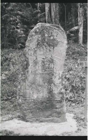 Seibal, Stela 19 (SBL: St. 19)