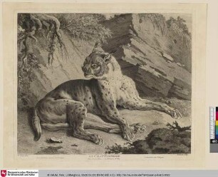 Le chat panterre [Der Panther]