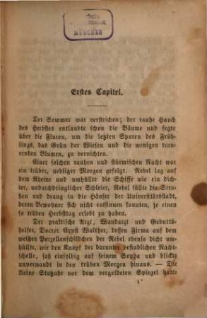 Novellen