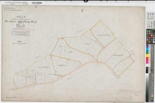 Westerkappeln (Westerkappeln), Zusammenlegung Hambüren-Handarpe, Urkarte II Flur 55