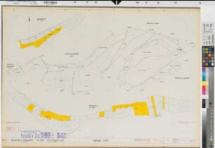 Zeppenfeld (Neunkirchen), Wiederstein (Neunkirchen), Zusammenlegung Zeppenfeld-Wiederstein, Bl. 4 Zuteilungskarte Zeppenfeld Flur 5