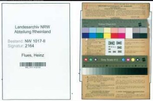 Entnazifizierung Heinz Flues , geb. 09.03.1918 (Lagerist)