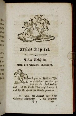 Erster Abschnitt. Von den Wunden überhaupt.