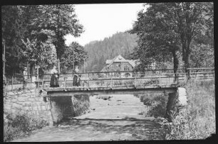 Oberbärenburg. Waldwiese